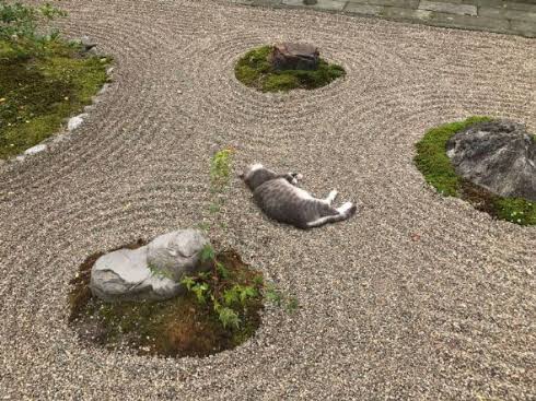 美しい日本の画像を貼っていくトピ