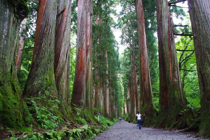 美しい日本の画像を貼っていくトピ