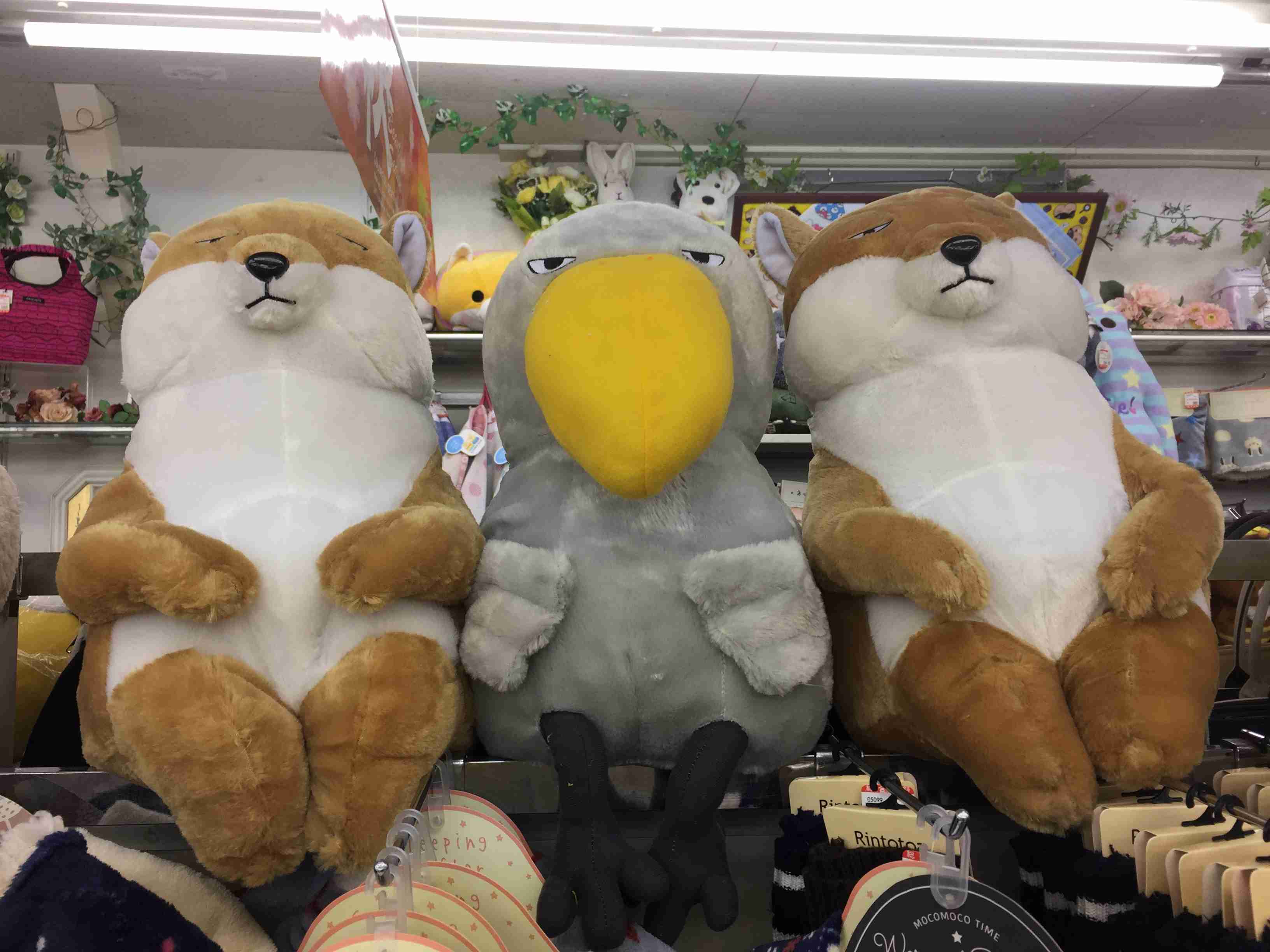 通販最大手「ジャパネット・ガルちゃん」がサービスに付けそうな品！