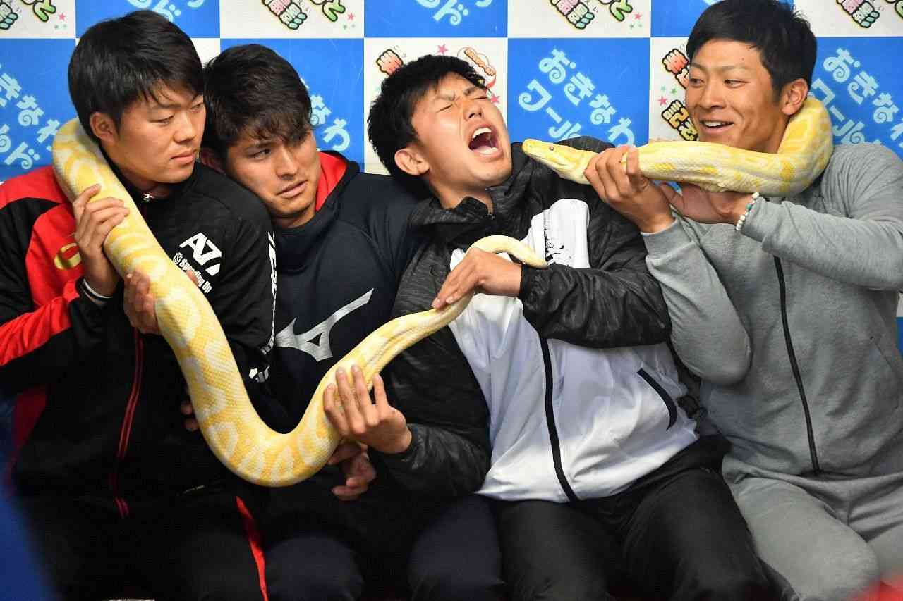 横浜DeNAベイスターズのファンが集まるトピ