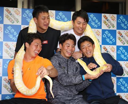 横浜DeNAベイスターズのファンが集まるトピ