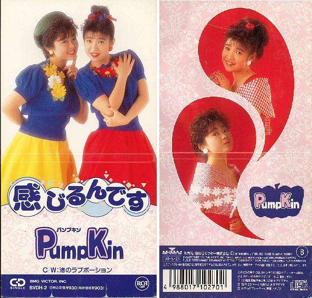 元アイドルが「私のせいで障害のある子に…」と告白　同時期に活躍の西田ひかる涙