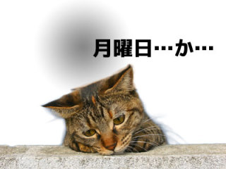 男っぽい口調で雑談するトピ