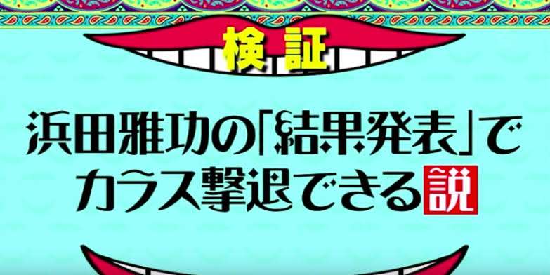 結果発表ー‼︎と言っていそうな画像。