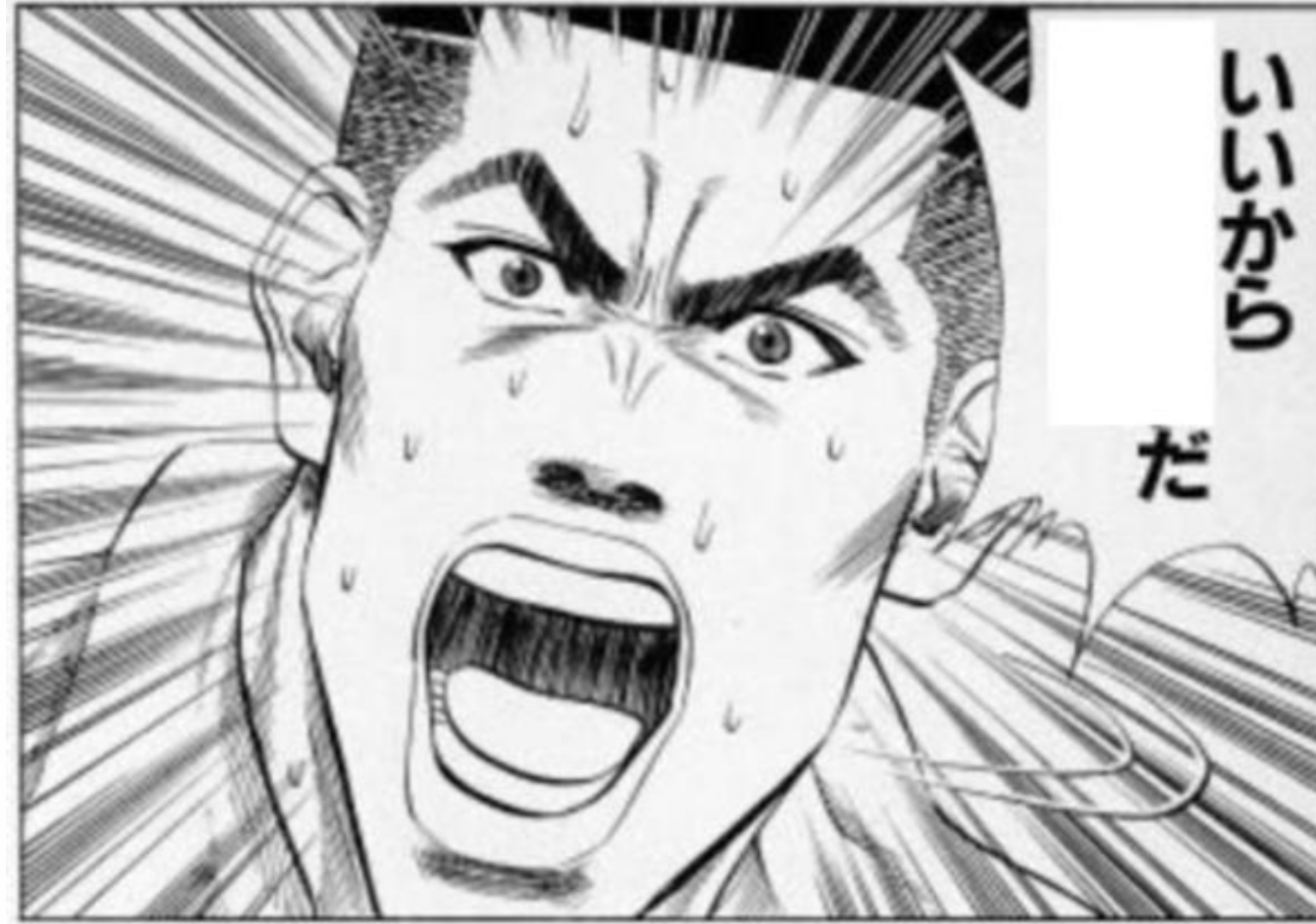結果発表ー‼︎と言っていそうな画像。