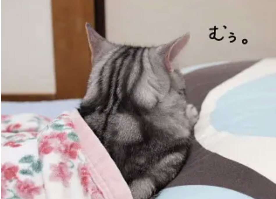 動物の後頭部が集まるトピ