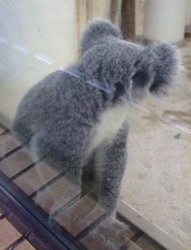 動物の後頭部が集まるトピ