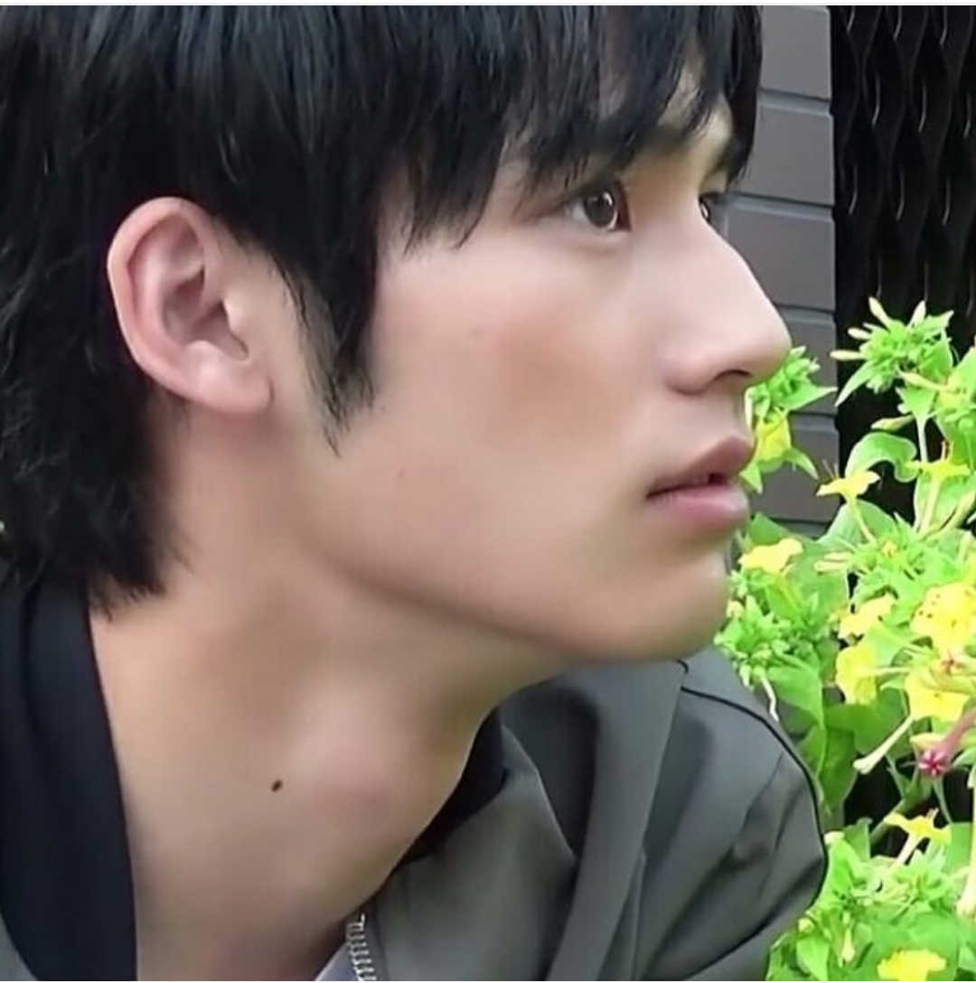 『中学聖日記』有村架純＆岡田健史、久々の2ショットにファン歓喜「最強コンビだぁ」