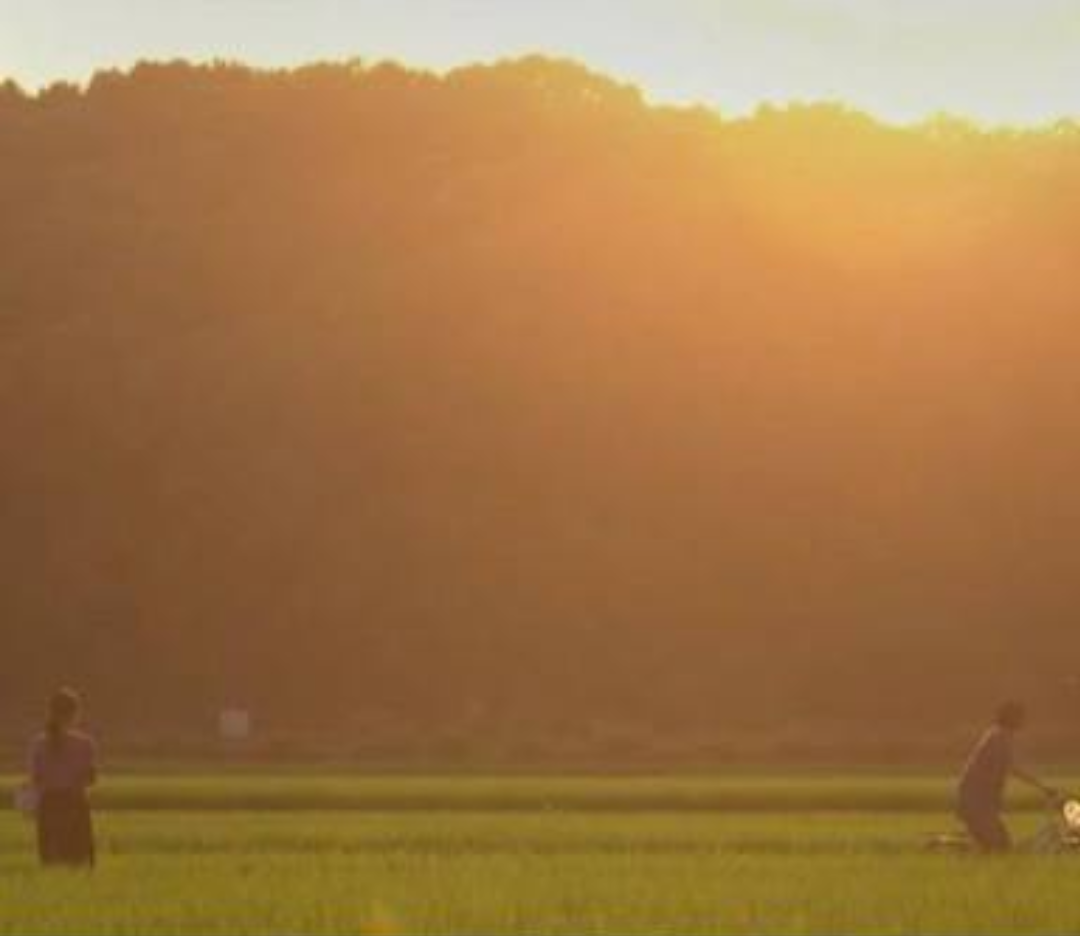 『中学聖日記』有村架純＆岡田健史、久々の2ショットにファン歓喜「最強コンビだぁ」