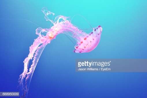 【男子選手限定】フィギュアスケート雑談トピ