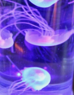 【男子選手限定】フィギュアスケート雑談トピ