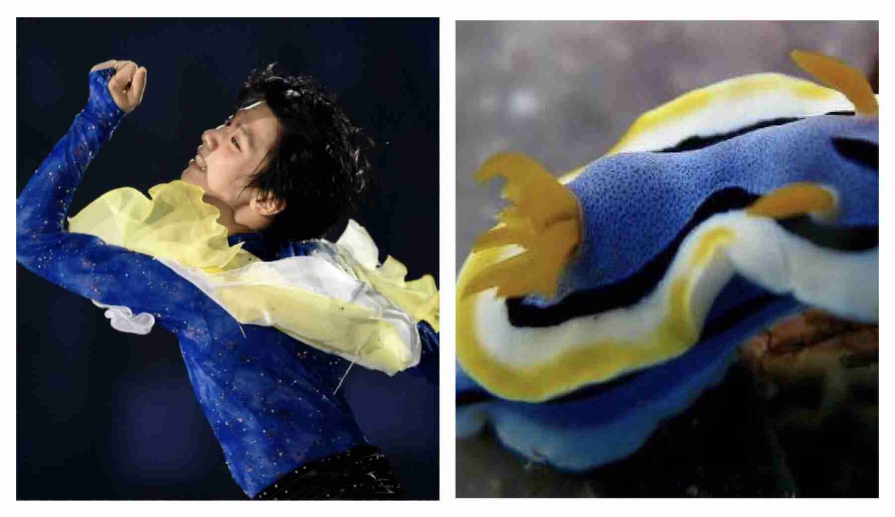 【男子選手限定】フィギュアスケート雑談トピ