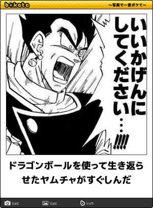 何度見ても秀逸だと思う「bokete」を貼っていくトpart2