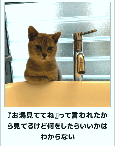 何度見ても秀逸だと思う「bokete」を貼っていくトpart2