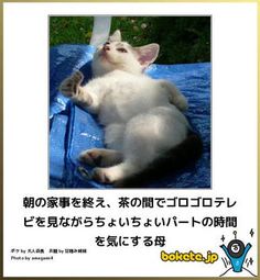 何度見ても秀逸だと思う「bokete」を貼っていくトpart2