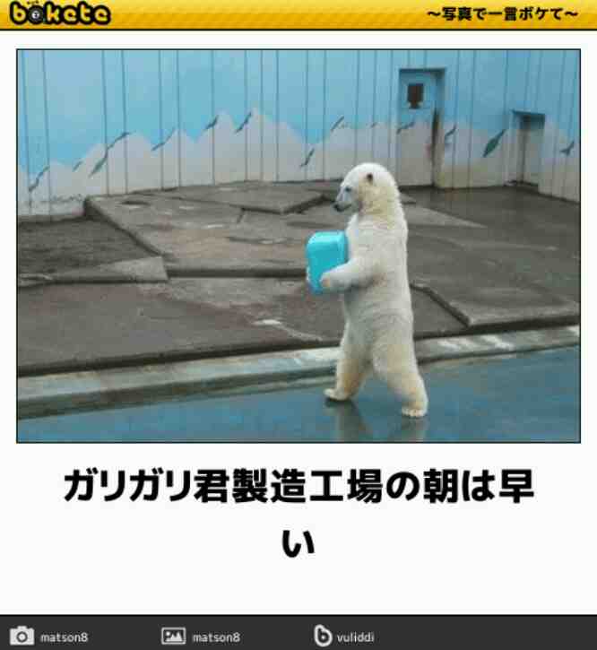 何度見ても秀逸だと思う「bokete」を貼っていくトpart2