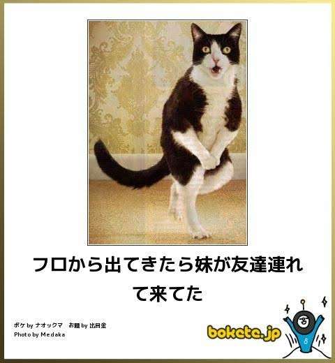 何度見ても秀逸だと思う「bokete」を貼っていくトpart2