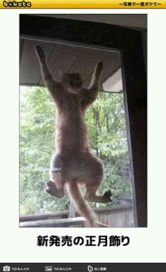 何度見ても秀逸だと思う「bokete」を貼っていくトpart2