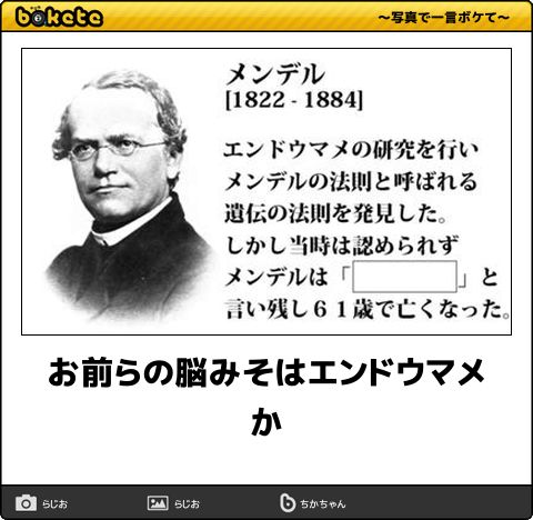 何度見ても秀逸だと思う「bokete」を貼っていくトpart2