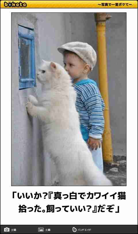 何度見ても秀逸だと思う「bokete」を貼っていくトpart2