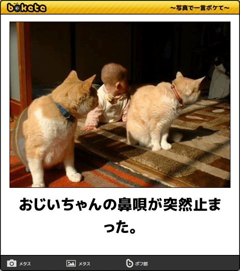 何度見ても秀逸だと思う「bokete」を貼っていくトpart2