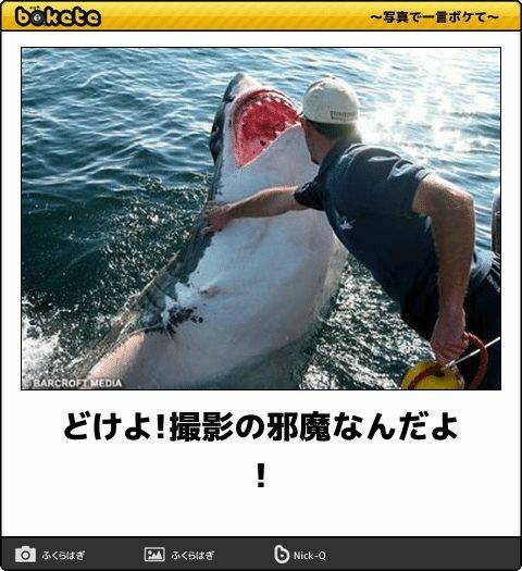 何度見ても秀逸だと思う「bokete」を貼っていくトpart2