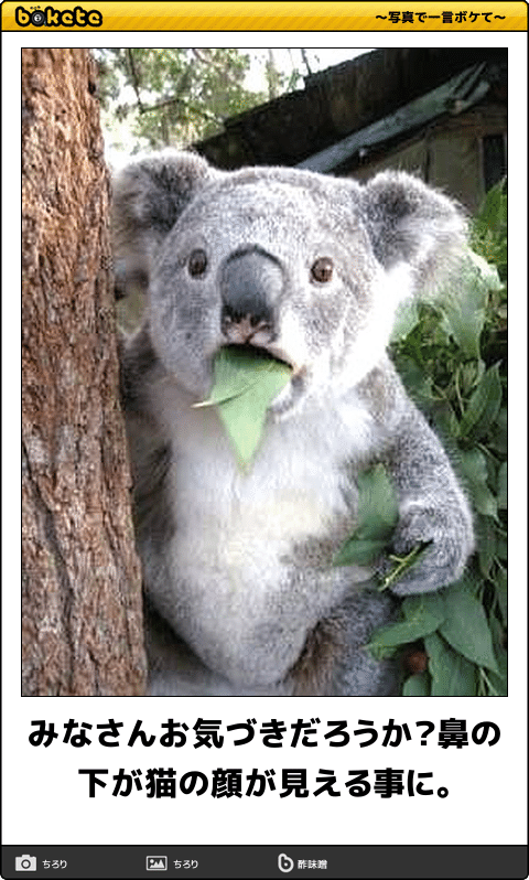 何度見ても秀逸だと思う「bokete」を貼っていくトpart2