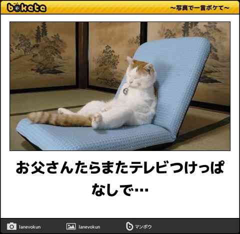 何度見ても秀逸だと思う「bokete」を貼っていくトpart2