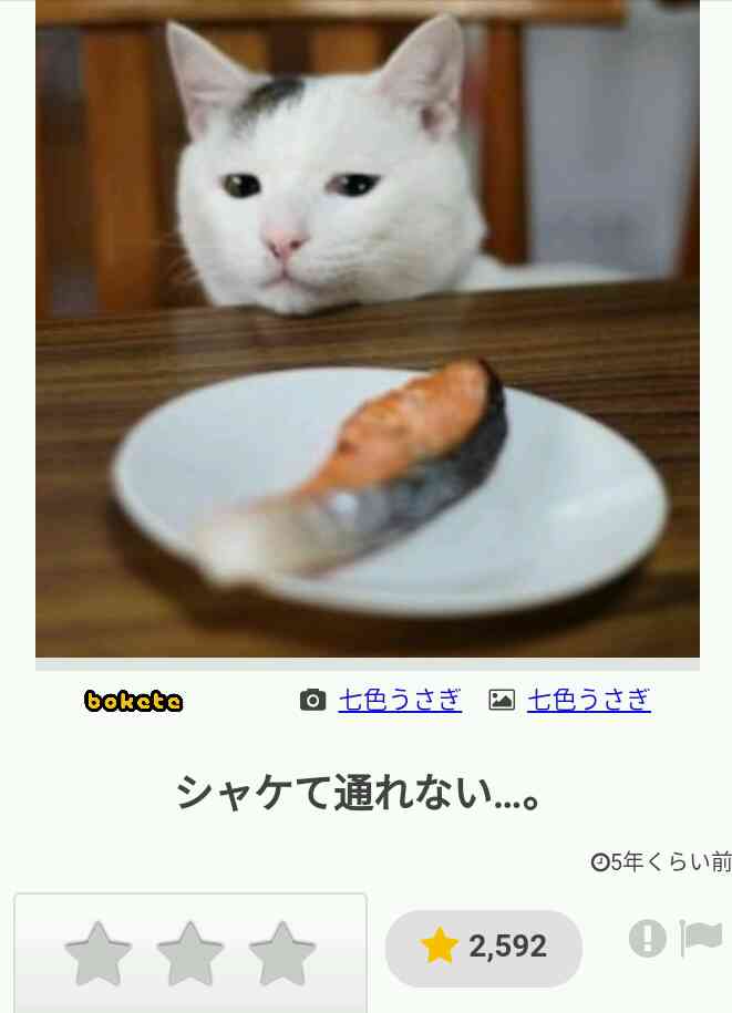 何度見ても秀逸だと思う「bokete」を貼っていくトpart2