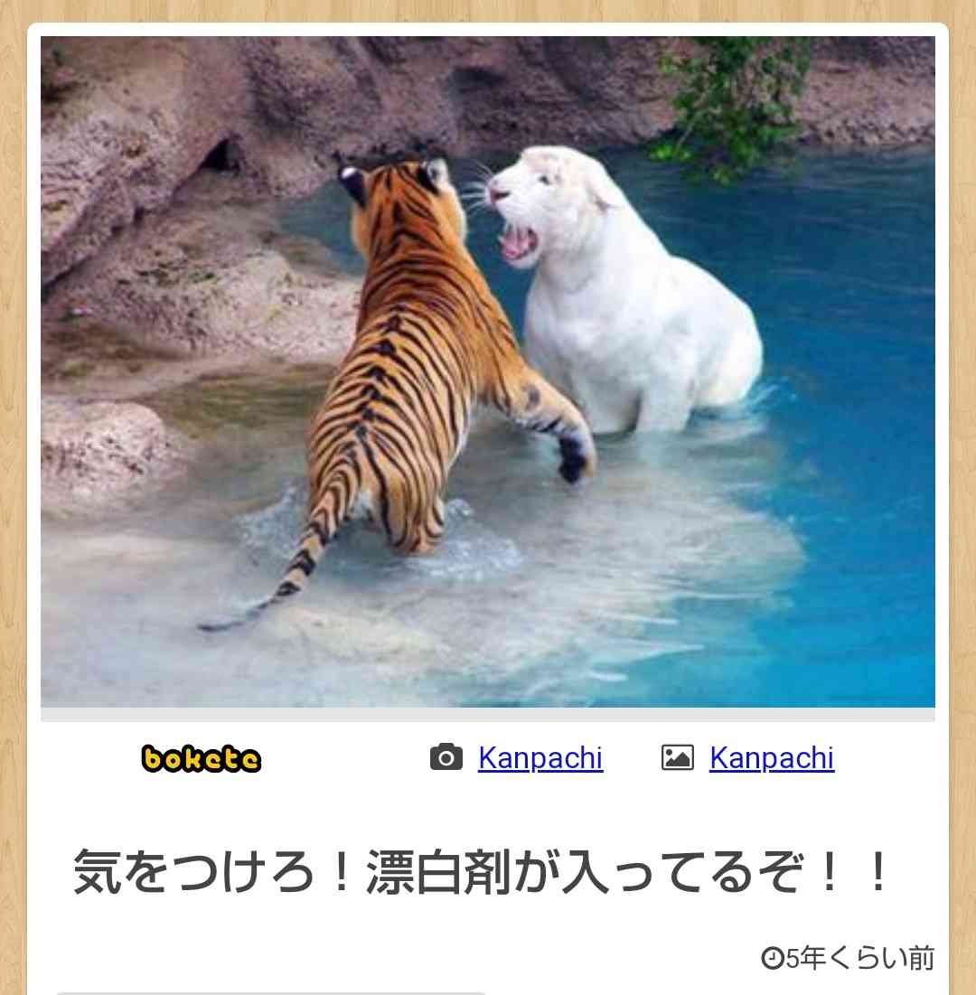 何度見ても秀逸だと思う「bokete」を貼っていくトpart2