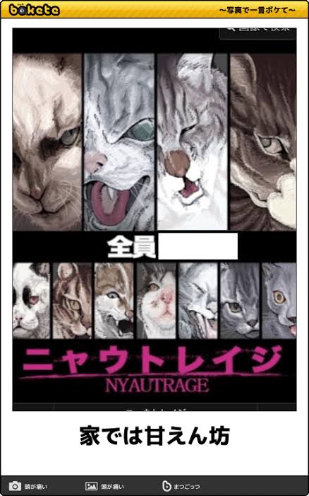 何度見ても秀逸だと思う「bokete」を貼っていくトpart2