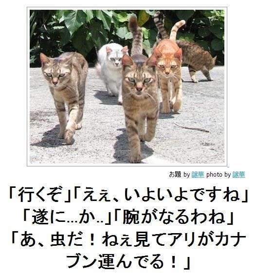 何度見ても秀逸だと思う「bokete」を貼っていくトpart2