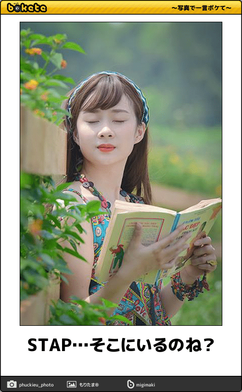 何度見ても秀逸だと思う「bokete」を貼っていくトpart2