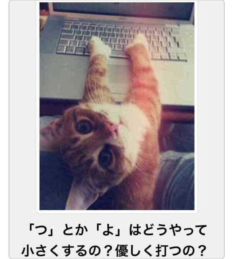 何度見ても秀逸だと思う「bokete」を貼っていくトpart2