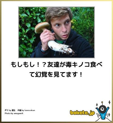 何度見ても秀逸だと思う「bokete」を貼っていくトpart2