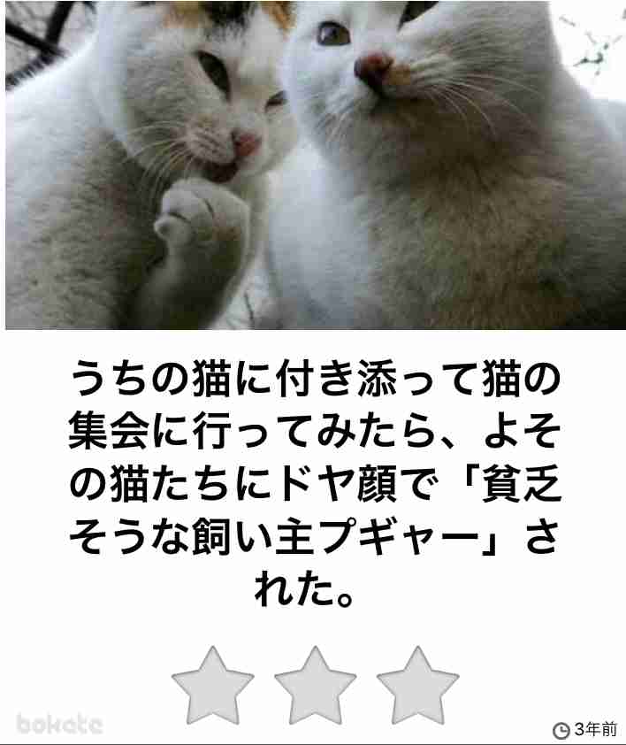 何度見ても秀逸だと思う「bokete」を貼っていくトpart2