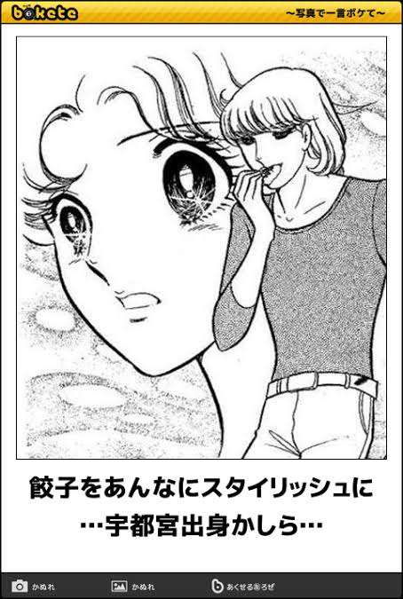 何度見ても秀逸だと思う「bokete」を貼っていくトpart2