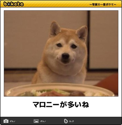 何度見ても秀逸だと思う「bokete」を貼っていくトpart2