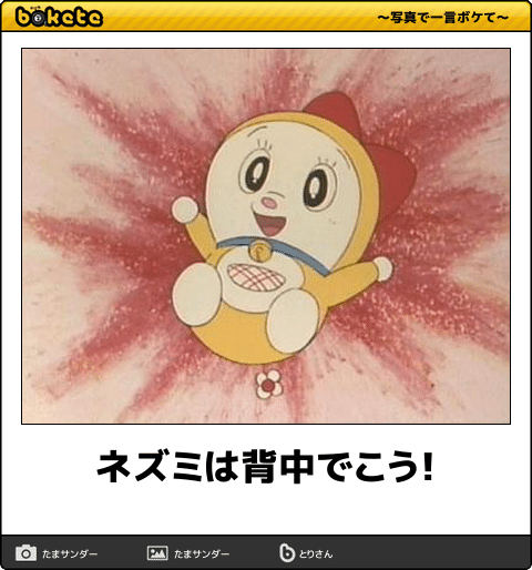 何度見ても秀逸だと思う「bokete」を貼っていくトpart2