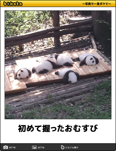 何度見ても秀逸だと思う「bokete」を貼っていくトpart2