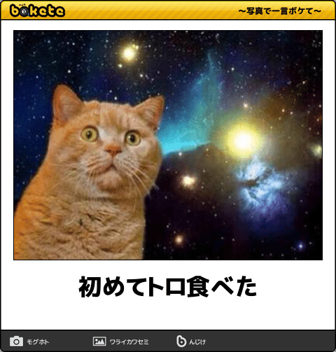 何度見ても秀逸だと思う「bokete」を貼っていくトpart2