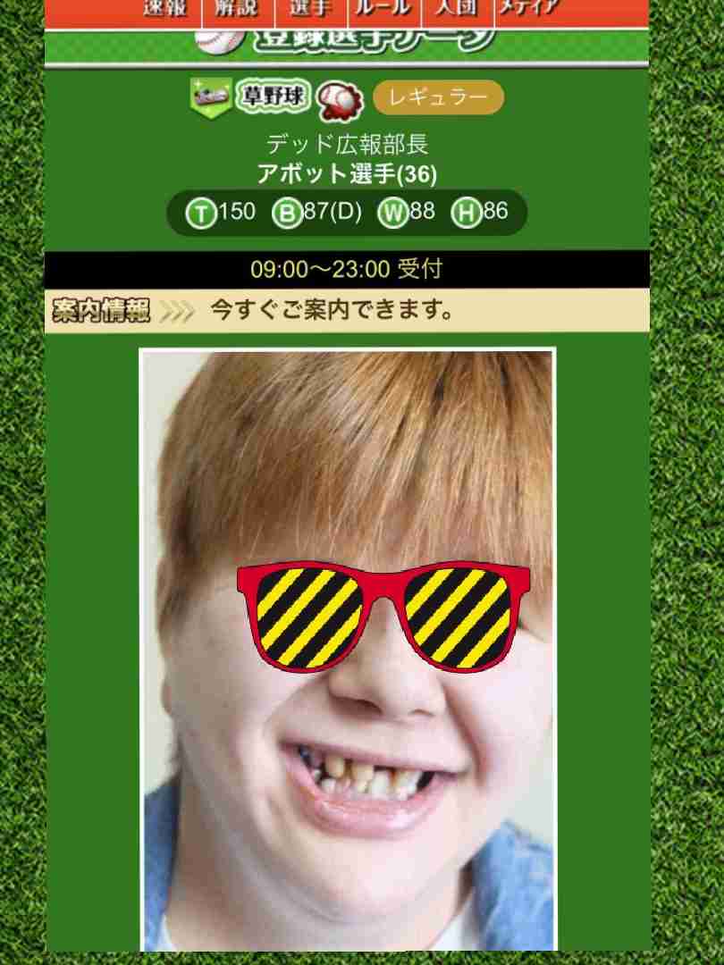 自分なりの〇〇説