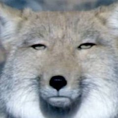 嘘つき男のエピソード
