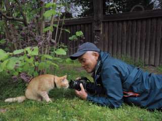 Kis-My-Ft2北山宏光、表紙を飾る雑誌が軒並み完売! 猫専門誌が入手困難でファンから悲鳴