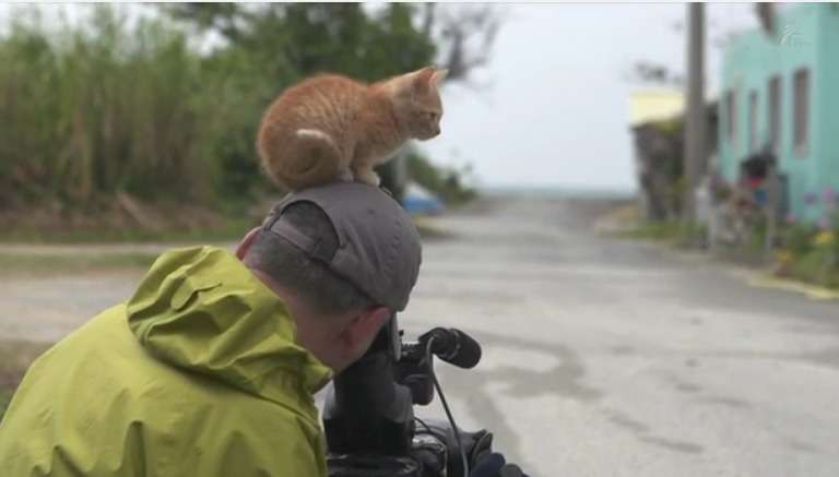 Kis-My-Ft2北山宏光、表紙を飾る雑誌が軒並み完売! 猫専門誌が入手困難でファンから悲鳴