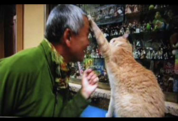 Kis-My-Ft2北山宏光、表紙を飾る雑誌が軒並み完売! 猫専門誌が入手困難でファンから悲鳴