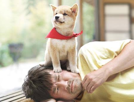 ドラマの画像に別のタイトルを書くトピ