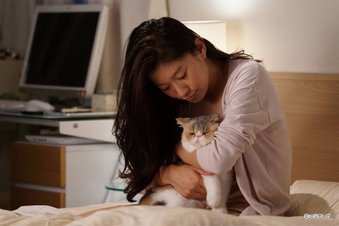 ドラマの画像に別のタイトルを書くトピ