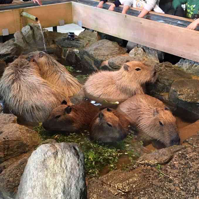 地元民なら一度は行ったことあるであろう場所