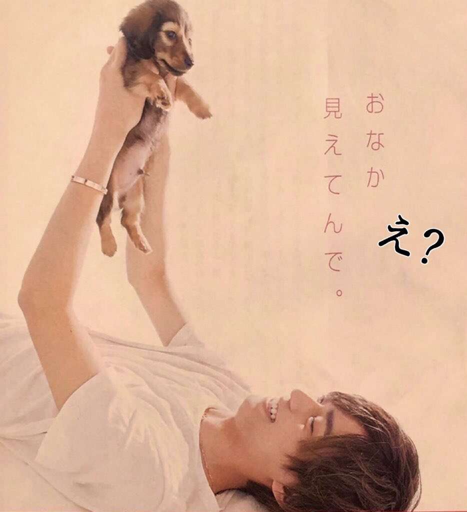 ミニチュアダックスフンドを語ろう!